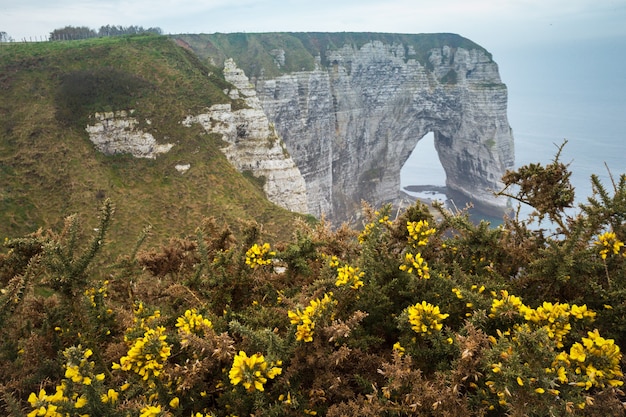 Photo de beaux paysages sur la falaise d'etretat par temps nuageux. la france