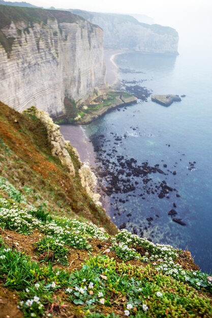 De beaux paysages sur la falaise d'Etretat par temps nuageux. La France