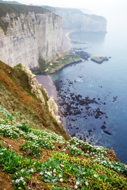 De Beaux Paysages Sur La Falaise D'etretat Par Temps Nuageux. La France