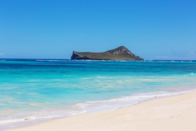 Beaux paysages sur l'île d'Oahu, Hawaï