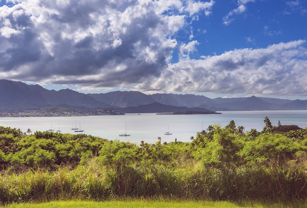 Beaux paysages sur l'île d'Oahu, Hawaï