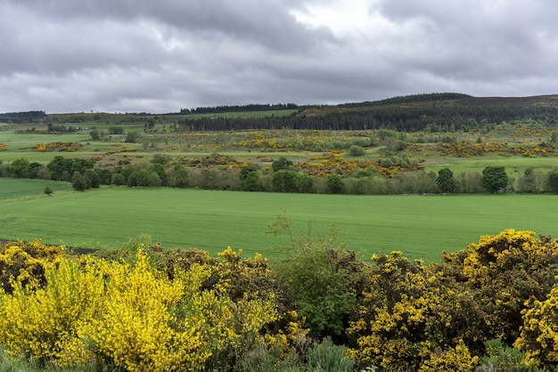 De beaux paysages le long du chemin d'Inverness à Aviemore, en Écosse
