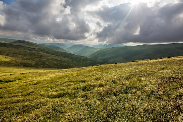 Beaux paysages naturels dans les montagnes des Carpates