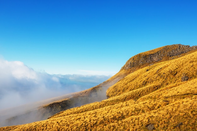 Beaux paysages naturels dans le parc national du mont Cook, île du Sud, Nouvelle-Zélande