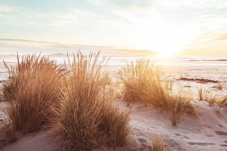 De beaux paysages à Ocean Beach, en Nouvelle-Zélande. Contexte naturel et de voyage inspirant