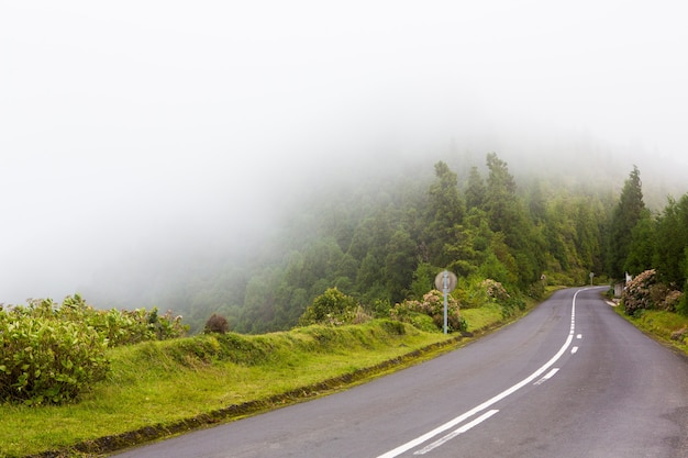 Beaux paysages de paysages aux Açores Portugal Nature tropicale dans l'île de Sao Miguel aux Açores