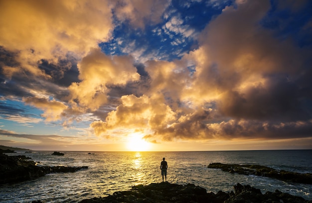 Beaux paysages tropicaux sur l'île de Maui, Hawaii