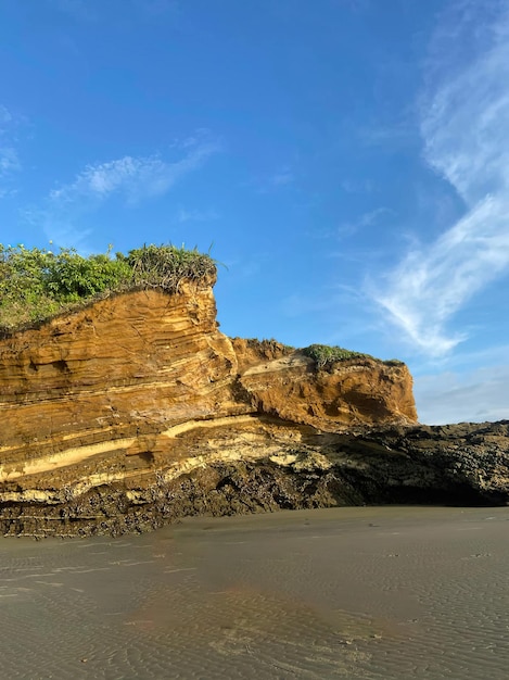 beaux paysages tropicaux des pays-bas