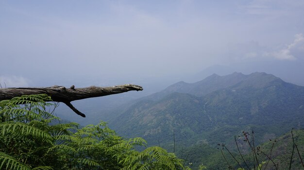 Photo de beaux paysages verdoyants denses de la station de colline de kodaikanal remplis de brume et de ciel nuageux vue panoramique du sommet de la colline