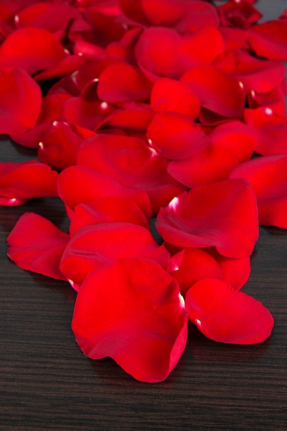 Beaux pétales de roses rouges sur une table en bois en gros plan