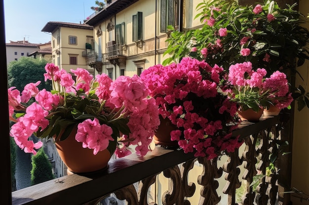 Beaux pots de fleurs