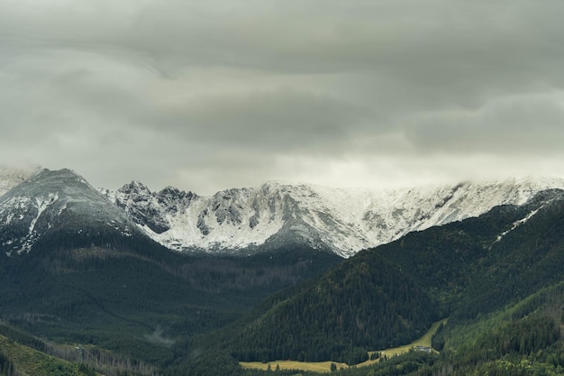 De beaux sommets de montagne envahis par une faune incroyable de verdure