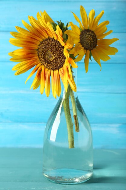 Beaux tournesols dans un vase sur fond de bois