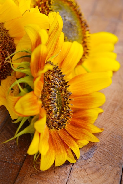 Beaux tournesols sur fond de bois