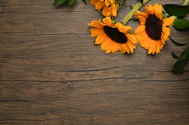 Beaux tournesols frais avec des feuilles sur une table en bois rustique espace vide pour votre texte
