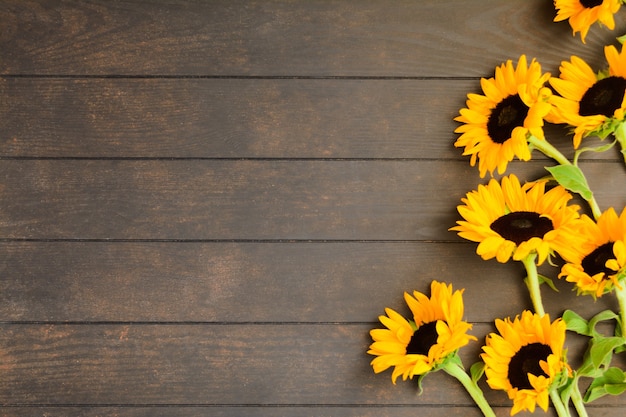 Beaux tournesols jaunes sur fond en bois avec espace de copie