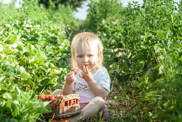 Bébé sur champ de fraises