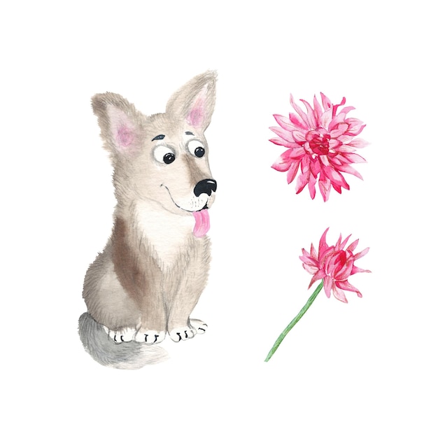 Bébé chien et dahlia isolés sur fond blanc Illustration aquarelle dessinée à la main