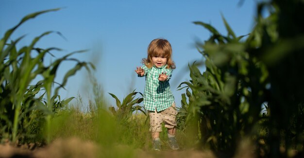 Bébé enfant dans l'herbe verte sur la pelouse de printemps Petits enfants marchant dans la bannière du parc Bébé sur le champ de la ferme de maïs à l'extérieur Enfant s'amusant avec l'agriculture et le jardinage de la récolte de légumes