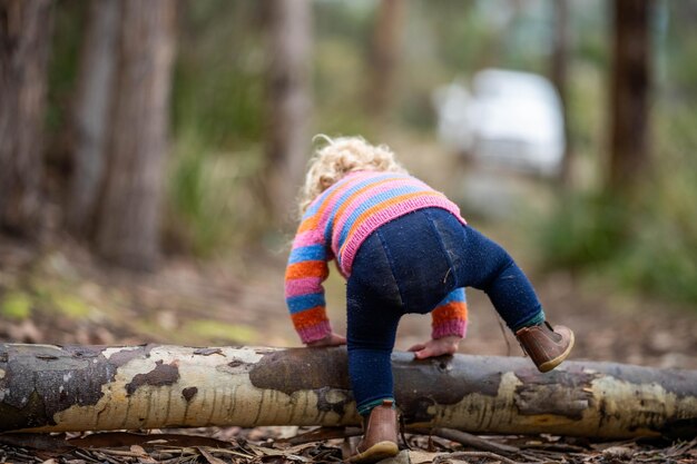 bébé grimpant à un arbre tout-petit explorant dans la forêt dans les arbres en Australie