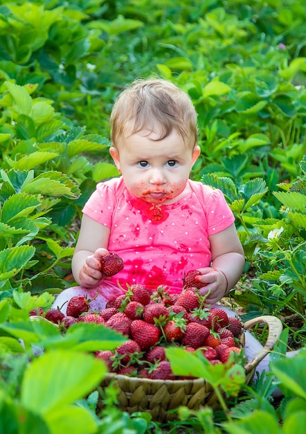 Bébé mange des fraises dans le jardin. L'été.