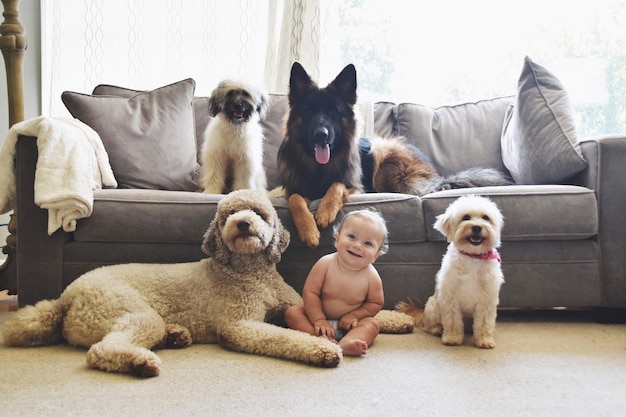Bébé mignon gardé par les chiens à la maison