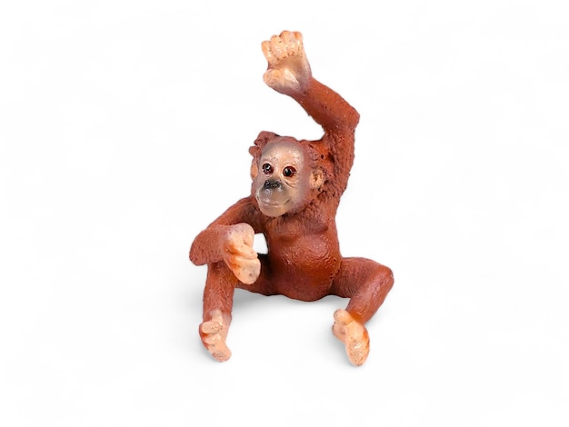 Un bébé orangutan en miniature brun avec une grande main isolée sur le blanc