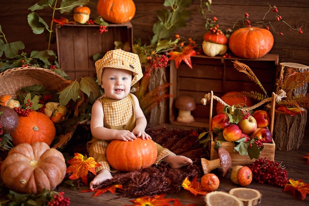 Bébé petit garçon avec un chariot avec des citrouilles, viorne, rowan, pommes