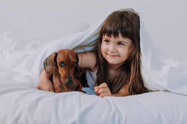 bébé petite fille embrasse un chien teckel à la maison dans son lit. linge de lit blanc. amour pour les animaux de compagnie