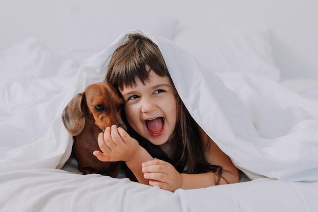 bébé petite fille embrasse un chien teckel à la maison dans son lit. linge de lit blanc. amour pour les animaux de compagnie