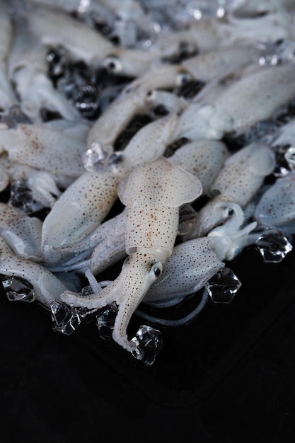 bébé poulpe de fruits de mer frais et délicieux