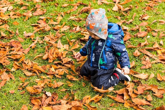 Bébé rampant à travers les feuilles d&#39;automne dans la forêt