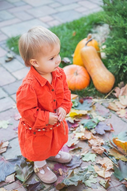 bébé en robe rouge se tient près des citrouilles à halloween