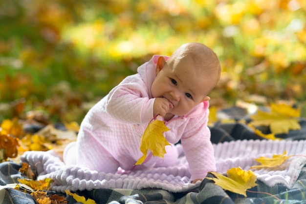 Un bébé en vêtements roses jouant sur un tapis de pique-nique parmi les feuilles d'automne jaunes dans un parc.