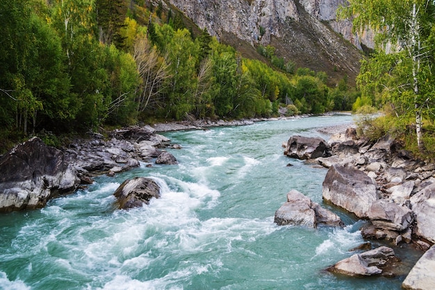 Behemoth River Rapid sur la rivière Chuya, montagne de l'Altaï, Russie