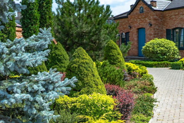 Bel aménagement paysager avec de belles plantes et fleurs