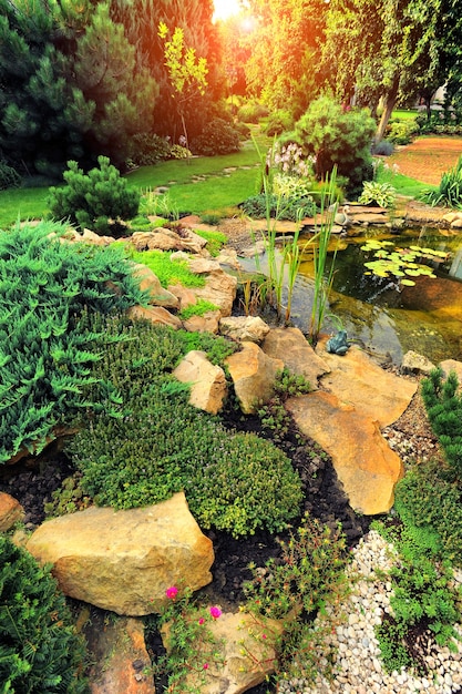 Photo bel aménagement paysager avec de belles plantes et fleurs