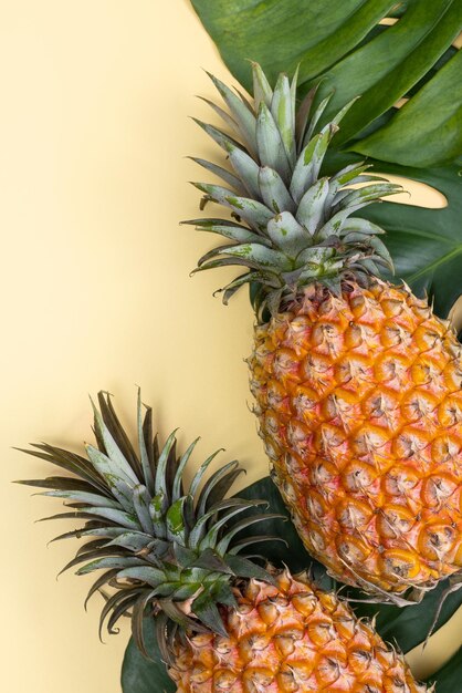 Bel ananas sur feuilles de palmier tropical monstera isolé sur fond jaune pastel clair vue de dessus plat posé au-dessus des fruits d'été