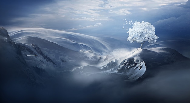 Bel arbre blanc dans la montagne de neige