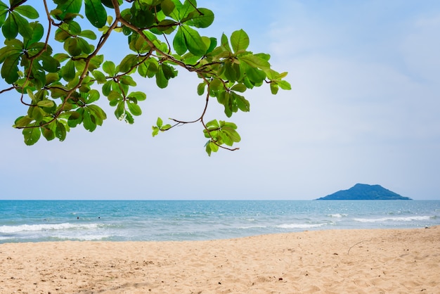 Bel arbre sur fond de ciel bleu, il y a montagne dans la mer près de la plage