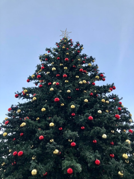 Bel arbre de Noël avec des boules dorées et des boules rouges à l'extérieur sur fond de ciel bleu. Nouvel An