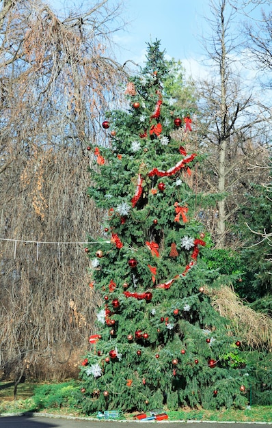 Bel arbre de Noël dans la rue