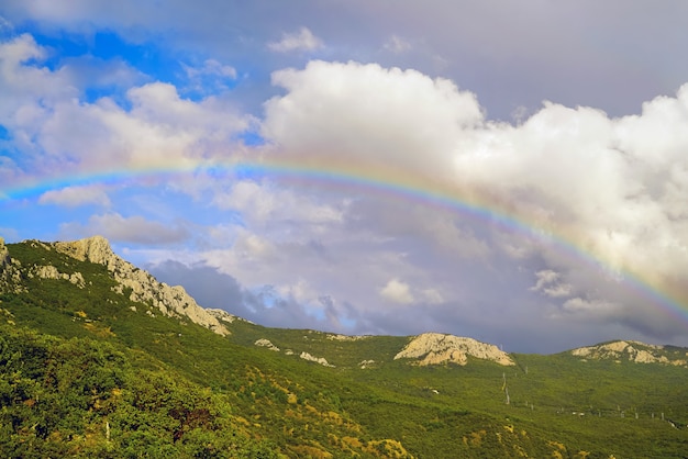 Bel arc-en-ciel sur la forêt dans les montagnes