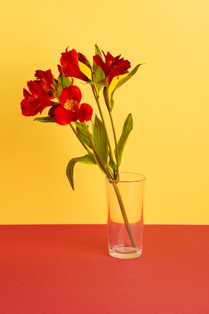 Bel arrangement de freesias en verre