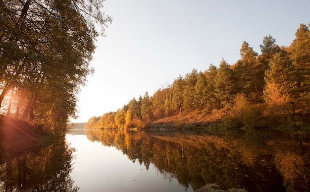 Bel automne au bord de la rivière près de la forêt