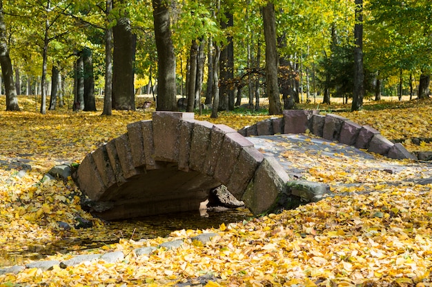 Photo bel automne dans un parc de la ville. pont en pierre avec des feuilles jaunes. érables colorés. scène nature beauté à la saison d'automne.