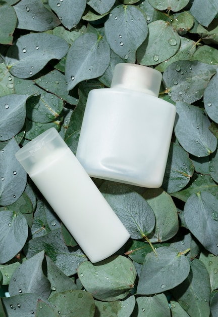 Bel eucalyptus avec des produits de beauté