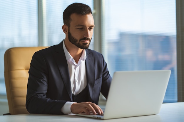 Le bel homme d'affaires avec un ordinateur portable assis au bureau