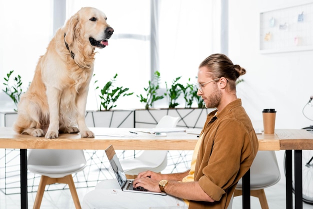 Bel homme d'affaires utilisant un ordinateur portable et un golden retriever assis sur une table