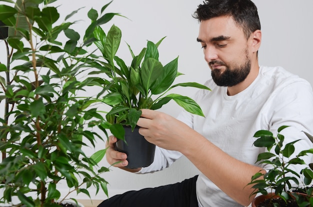 Bel homme barbu tenant une plante d'intérieur avec pot de lys de la paix dans les mains